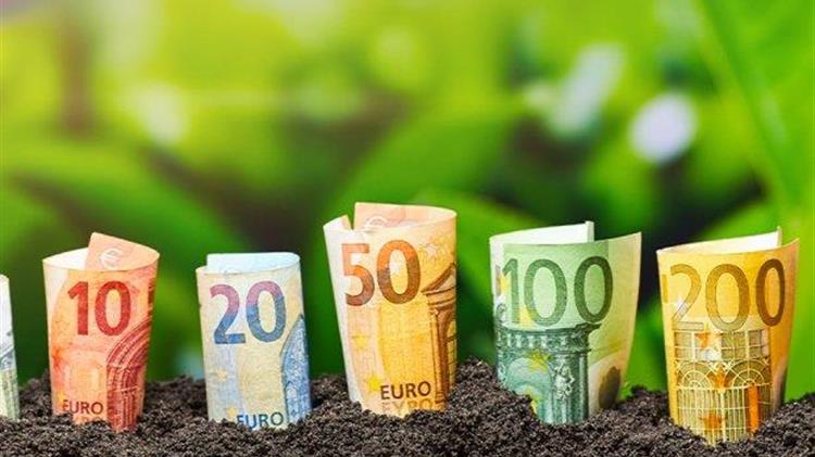 Εξισωτική Αποζημίωση: Τι θα συμβεί σε περίπτωση δήλωσης έκτασης μεγαλύτερης από την πραγματική