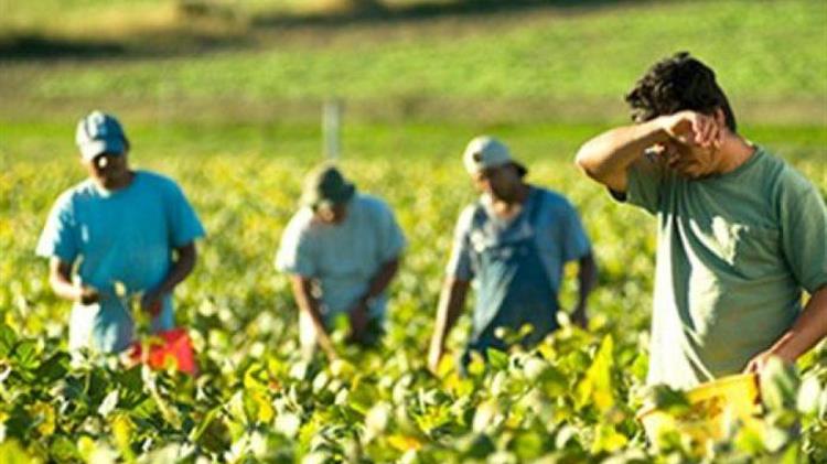 Εργάτες γης: Στις 10 Ιουνίου ανοίγει η πλατφόρμα